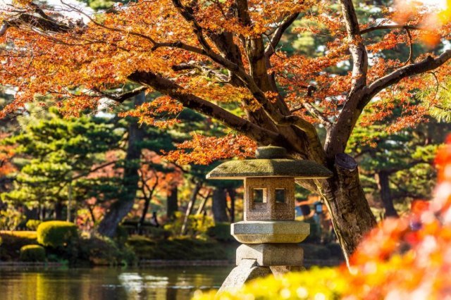 【紅葉・見ごろ】兼六園