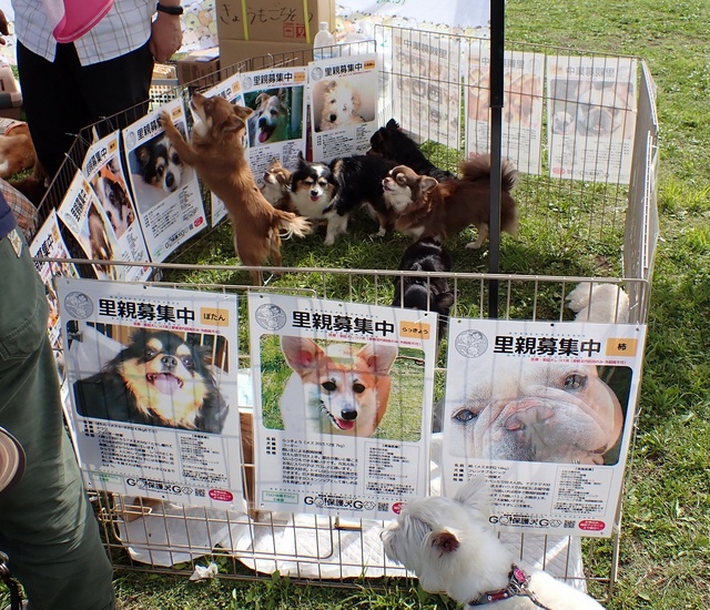 HUG　ANIMALS!  vol.14