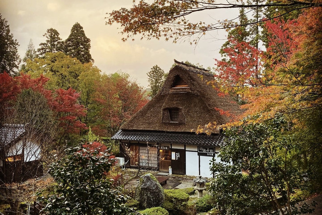 【紅葉・見ごろ】加賀 伝統工芸村　ゆのくにの森