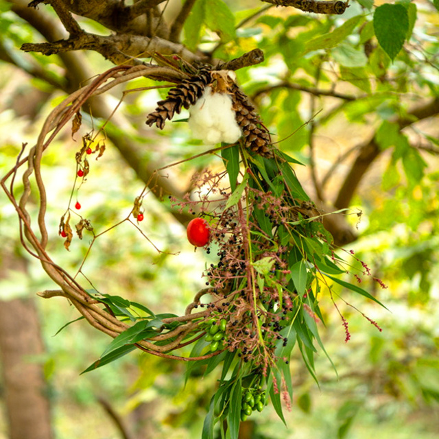 フラワー教室「BIOTOPIAの植物で作る クリスマスリース講座」