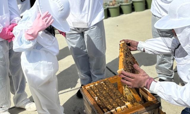 都会で養蜂？秋の養蜂体験！