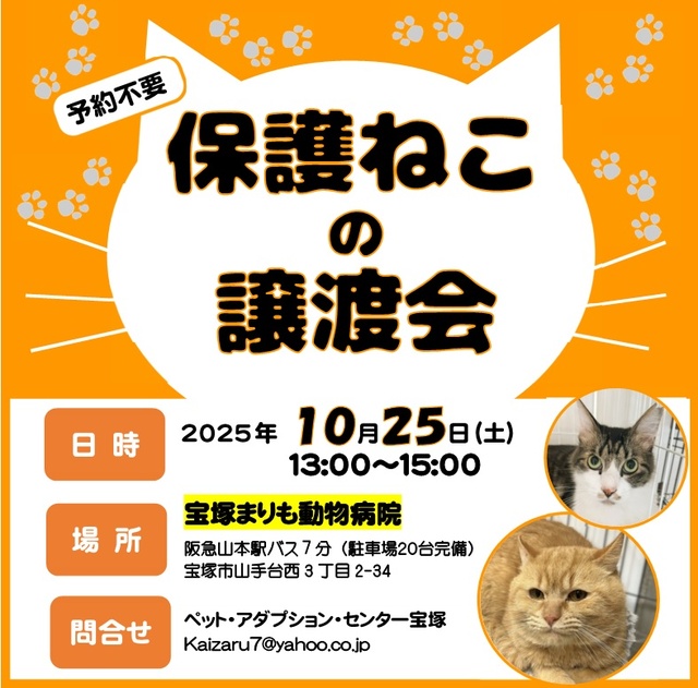 保護ねこ譲渡会 in 宝塚