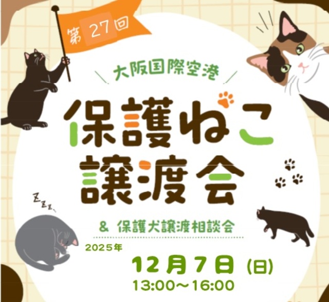 第27回 大阪国際空港 保護ねこ譲渡会