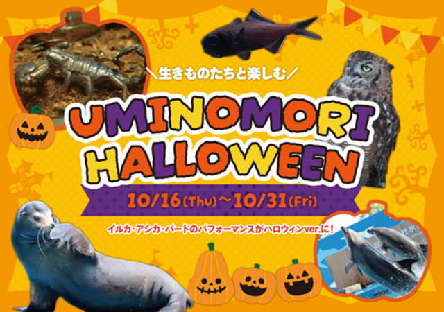 UMINOMORI HALLOWEEN