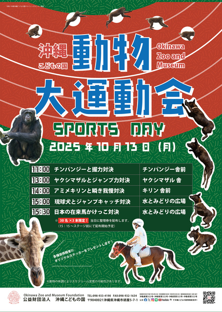 沖縄こどもの国動物大運動会～動物の能力に挑戦！