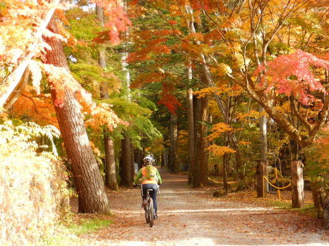 秋の紅葉「軽井沢うらみち探検ライド」MTBダート体験＆観光サイクリング　アウトドア自然体験