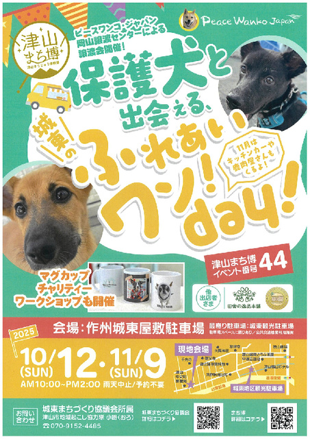 保護犬と出会える 城東のふれあいワン!day!(11月)