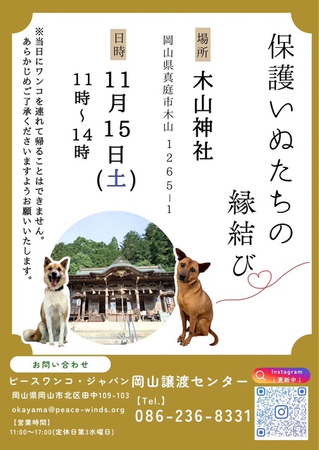 保護犬たちの縁結び（11月）