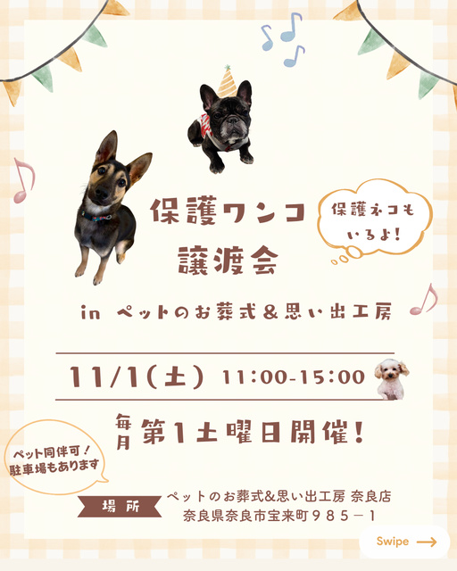 保護ワンコ譲渡会inペットのお葬式&思い出工房