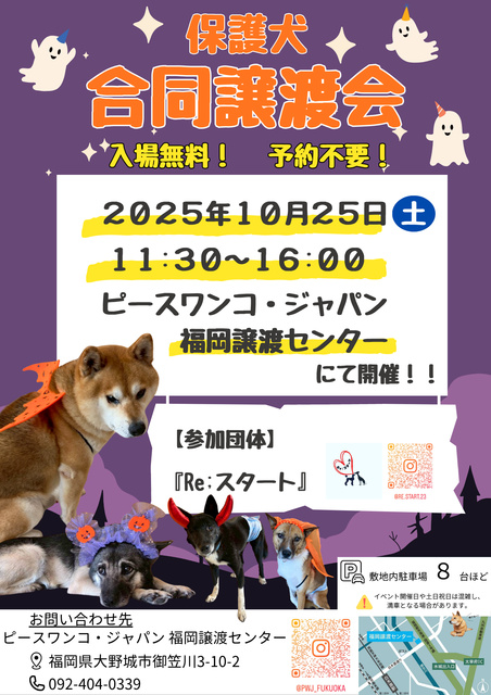 保護犬合同譲渡会