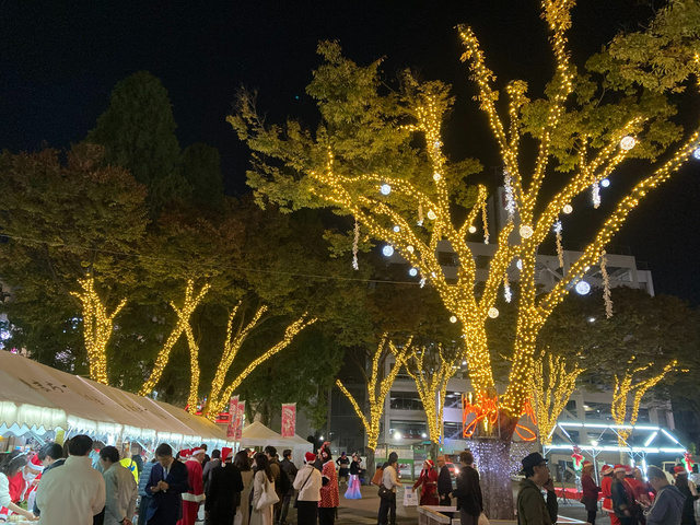 第24回池田公園イルミネーション
