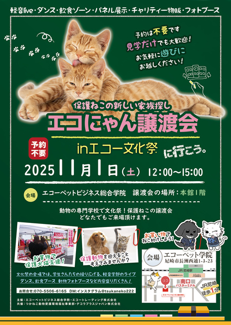 エコにゃん譲渡会inエコーペット学院文化祭