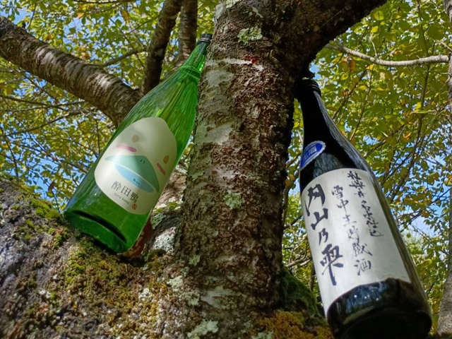 ～いい水、うまい酒、木島平でよったかも！～