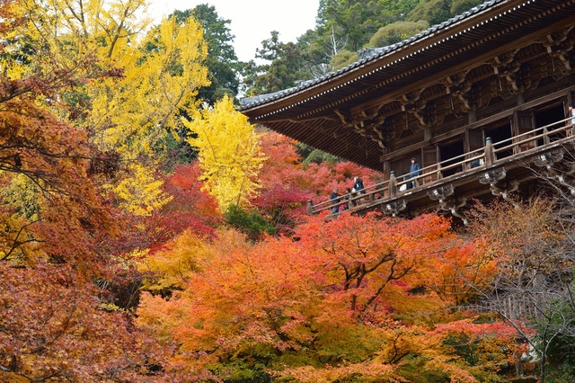 令和7年度「書写山もみじまつり」