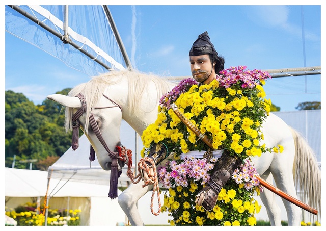 菊人形・菊まつり