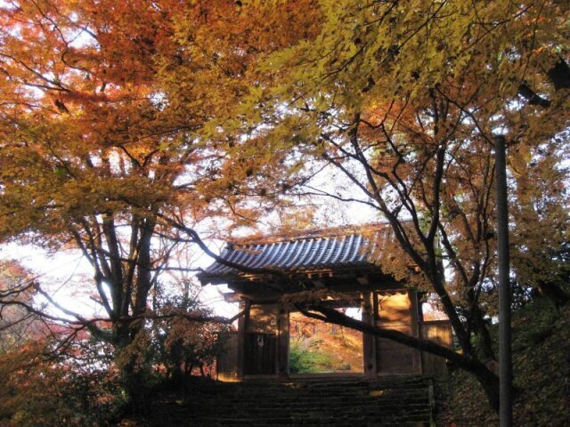 第25回宝の山 高良山もみじ狩り祭り
