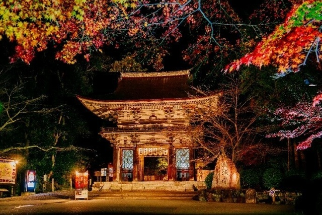 三井寺 夜の特別拝観と紅葉ライトアップ