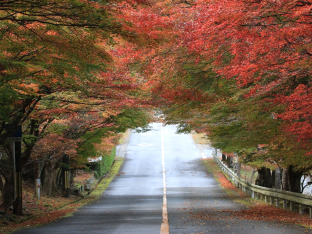 嵐山 高雄パークウェイ60周年×JAFコラボイベント
