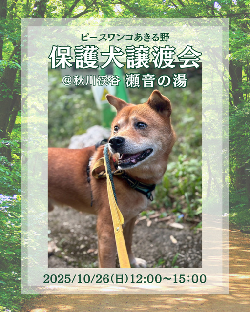 保護犬譲渡会＠秋川渓谷「瀬音の湯」