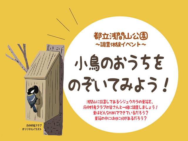 小鳥のおうちをのぞいてみよう！