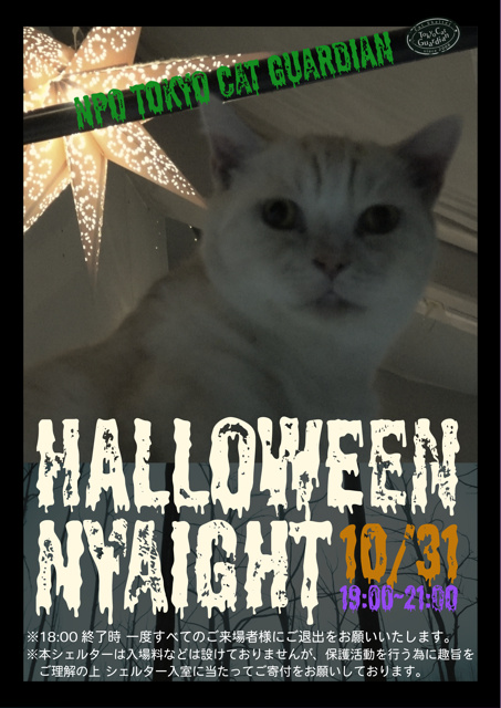 東京キャットガーディアン「ハロウィンニャイト」