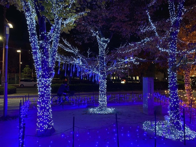 Higashihiroshima トワイエ 2025 西条中央公園のイルミネーション