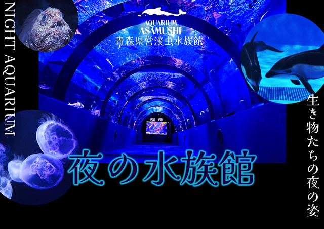 夜の水族館