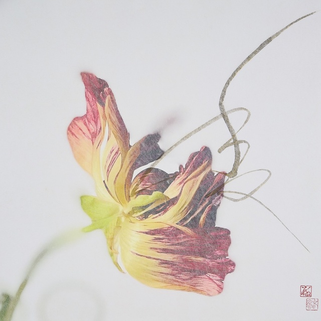 久保 京子×春陽 「TATANAHARU -日々たおやか-」