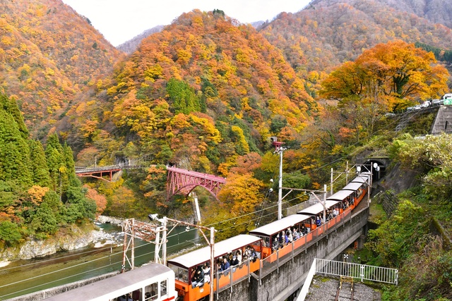 【紅葉・見ごろ】黒部峡谷