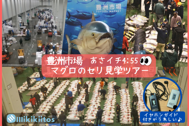 豊洲市場マグロのセリ見学ツアー 朝イチ0455(11月)