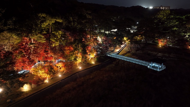 東公園紅葉まつり