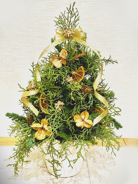 クリスマス1dayレッスン　香り漂う針葉樹のテーブルツリー
