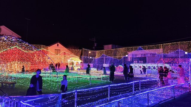 まちの駅 新・鹿沼宿イルミネーション2025