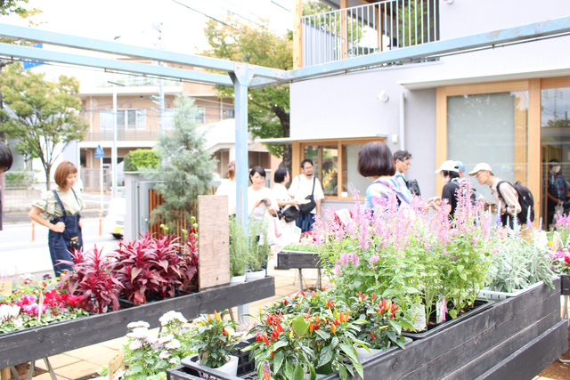 街ノ停留祭(11月)