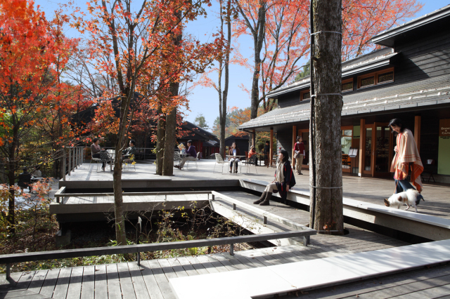 【紅葉・見ごろ】軽井沢星野エリア