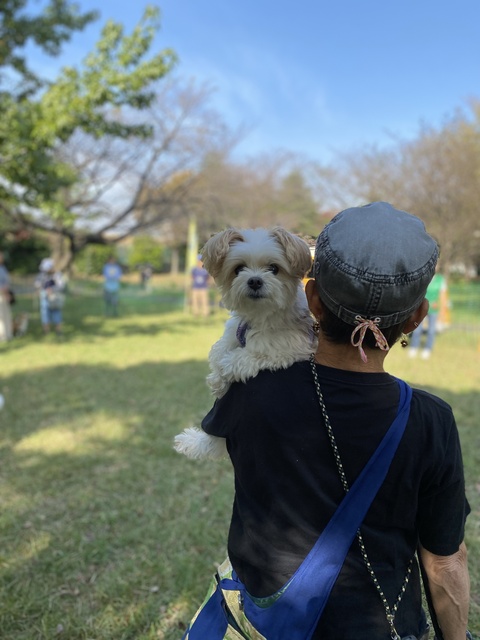 ワンちゃんとの暮らし方教室