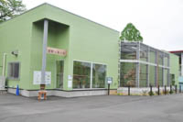 見学会「動物園の“裏側”から見る霊長類の社会」(11月)