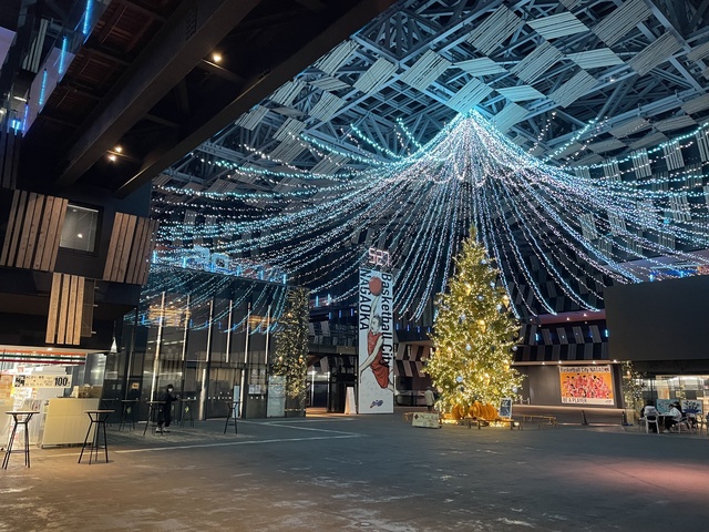 Aollumination 2025-2026