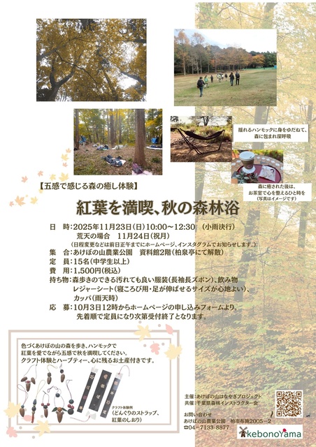 紅葉を満喫、秋の森林浴