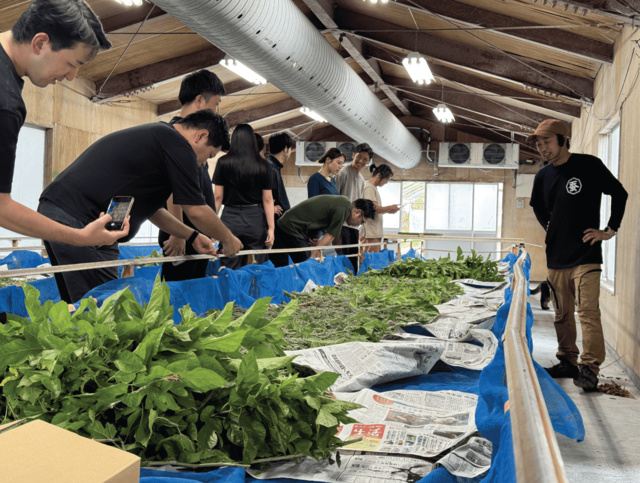 蚕感日～蚕の杜deイマーシブシルク体験～