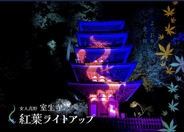 室生寺紅葉ライトアップ2025