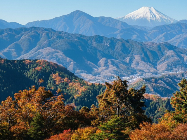 晩秋で彩られた高尾山へ ガイド付き ゆったりトレッキング