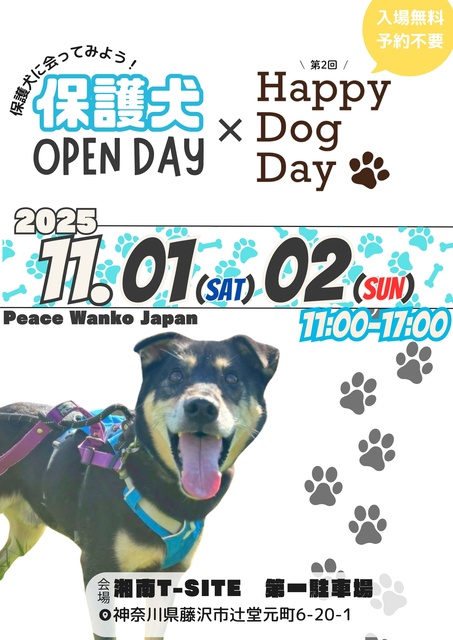 保護犬OPEN DAY