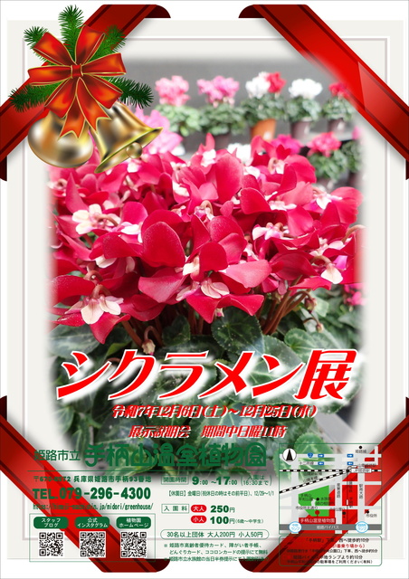姫路市立手柄山温室植物園 シクラメン展
