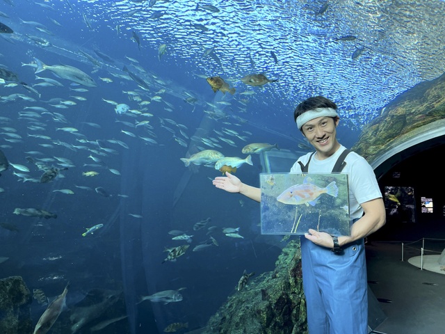 11月限定イベント「ごっつぉ解説」