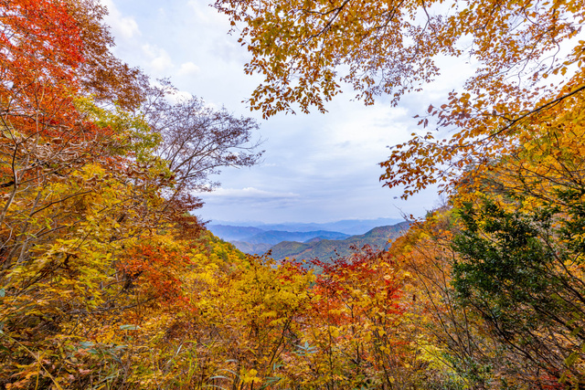 【紅葉・見ごろ】宇津江四十八滝