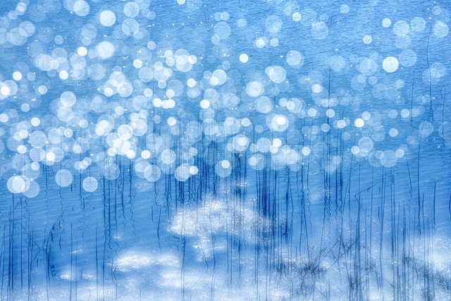 伊勢和紙による　三輪薫写真展「風の香り－日本のこころの自然風景と花」