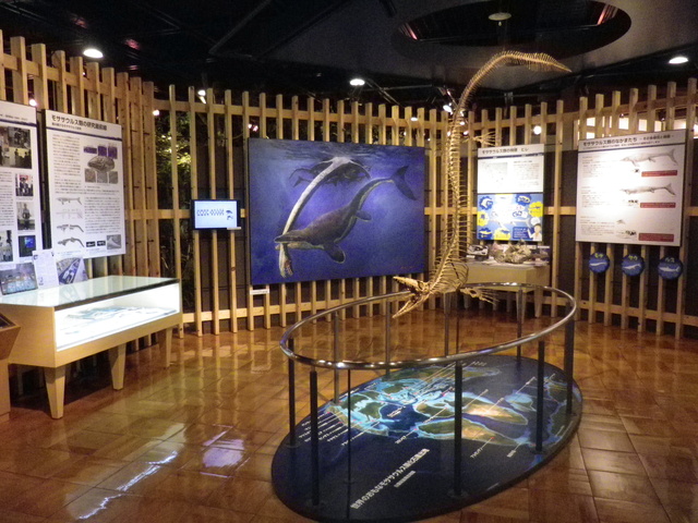 きしわだ自然資料館無料開館デー