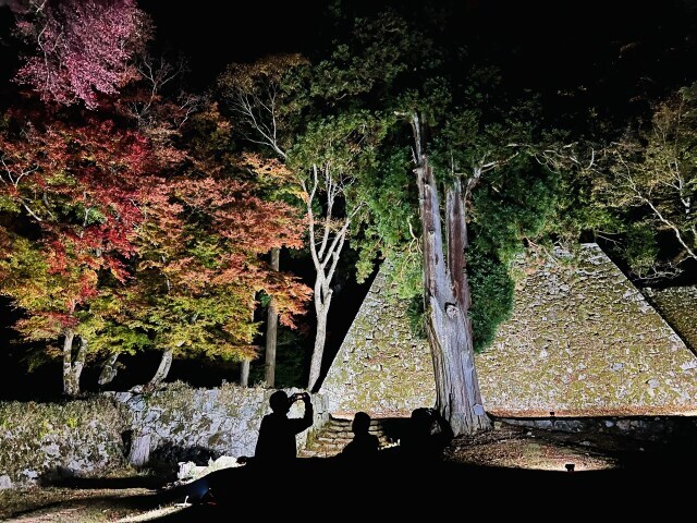 高取城ナイトウォーク「秋」