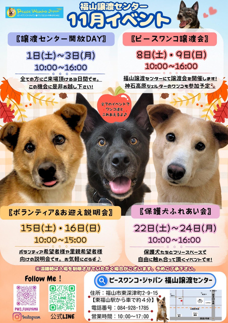 保護犬ふれあい会